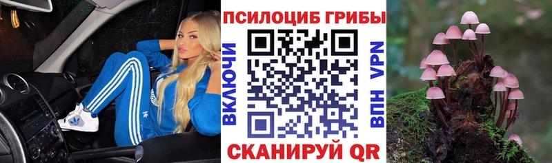где купить наркоту  Мещовск  это клад  Галлюциногенные грибы Magic Shrooms 